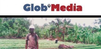 Alerte sur l’agriculture : pourquoi le PIB camerounais piétine à 3,5 % en 2025