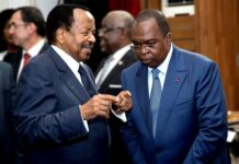 Dépenses publiques, dette, austérité : Le Cameroun au rouleau compresseur du FMI