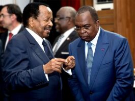 Dépenses publiques, dette, austérité : Le Cameroun au rouleau compresseur du FMI