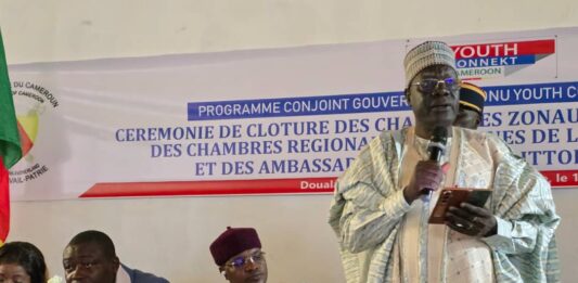 Insertion professionnelle et économie numérique : Mounouna Foutsou dote la jeunesse du Littoral et du Sud-Ouest d’atouts pour l’entrepreneuriat