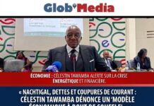 Nachtigal, dettes et coupure de courant : Célestin Tawamba dénonce un « modèle économique à bout de souffle »
