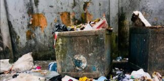 Gestion des déchets : Douala mise sur le civisme, Yaoundé prévoit une amende de 25 000 FCFA.