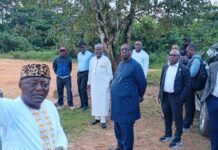 Parcours Vita de Douala : le nouveau management face à l’urgence de la réhabilitation