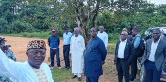 Parcours Vita de Douala : le nouveau management face à l’urgence de la réhabilitation