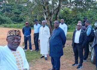 Parcours Vita de Douala : le nouveau management face à l’urgence de la réhabilitation