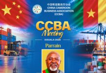 Business : Chine-Cameroun : Douala accueille deux jours de rencontres d’affaires
