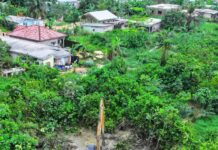Inondations à Douala : les travaux d’assainissement s’intensifient sur les zones sensibles