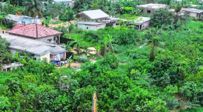 Inondations à Douala : les travaux d’assainissement s’intensifient sur les zones sensibles