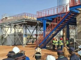 Électricité : 1,43 milliard de Fcfa pour 20 000 branchements à Yaoundé