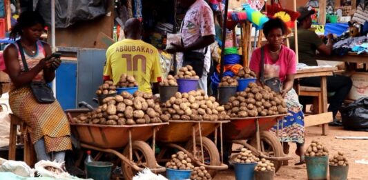 Hygiène alimentaire : Ces dangers dans les aliments