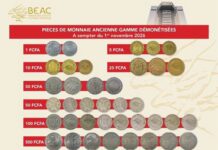 Retrait des anciennes pièces de monnaie : la confusion gagne déjà les marchés